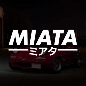 skyline vinyl decal (copy)